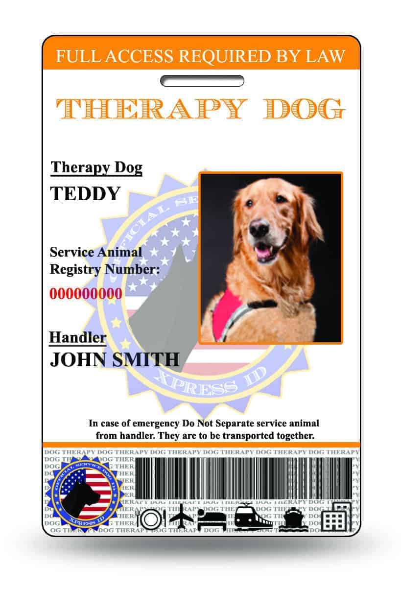 Therapy Dog ID Card Free Access To Animal Registry