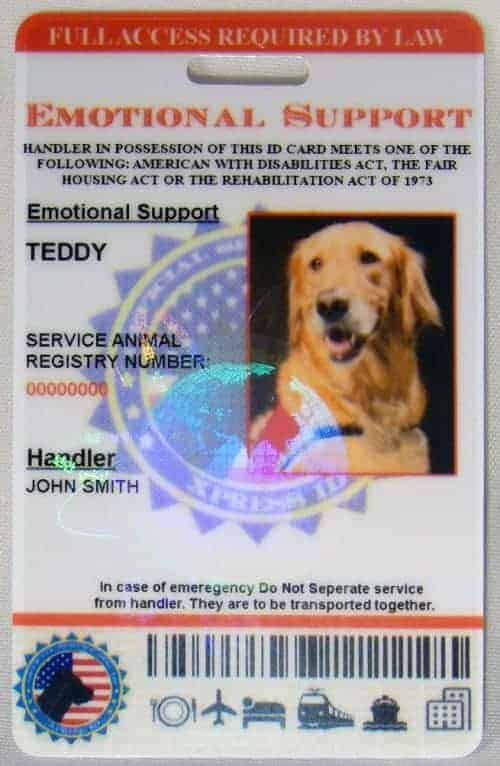 Emotional Support Animal ID Card | Free Access To Animal ...