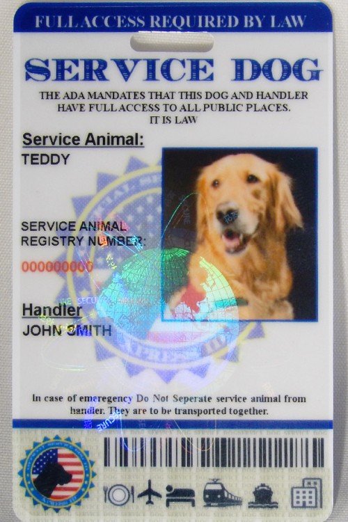 Strap Harness Service Dog Markings Dog Harnesses Holographic Service Dog ID  Card  Customizable ADA Compliant Card For Your Service Animal Service Dog  Card