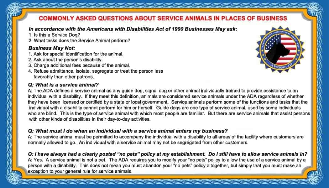 Service Dog Info Cards 50 ADA Service Dog Service Animal