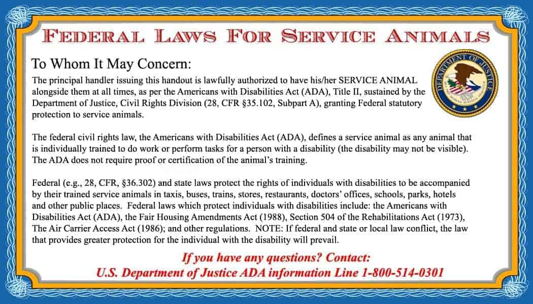 service-dog-info-cards-50-ada-service-dog-service-animal-badge