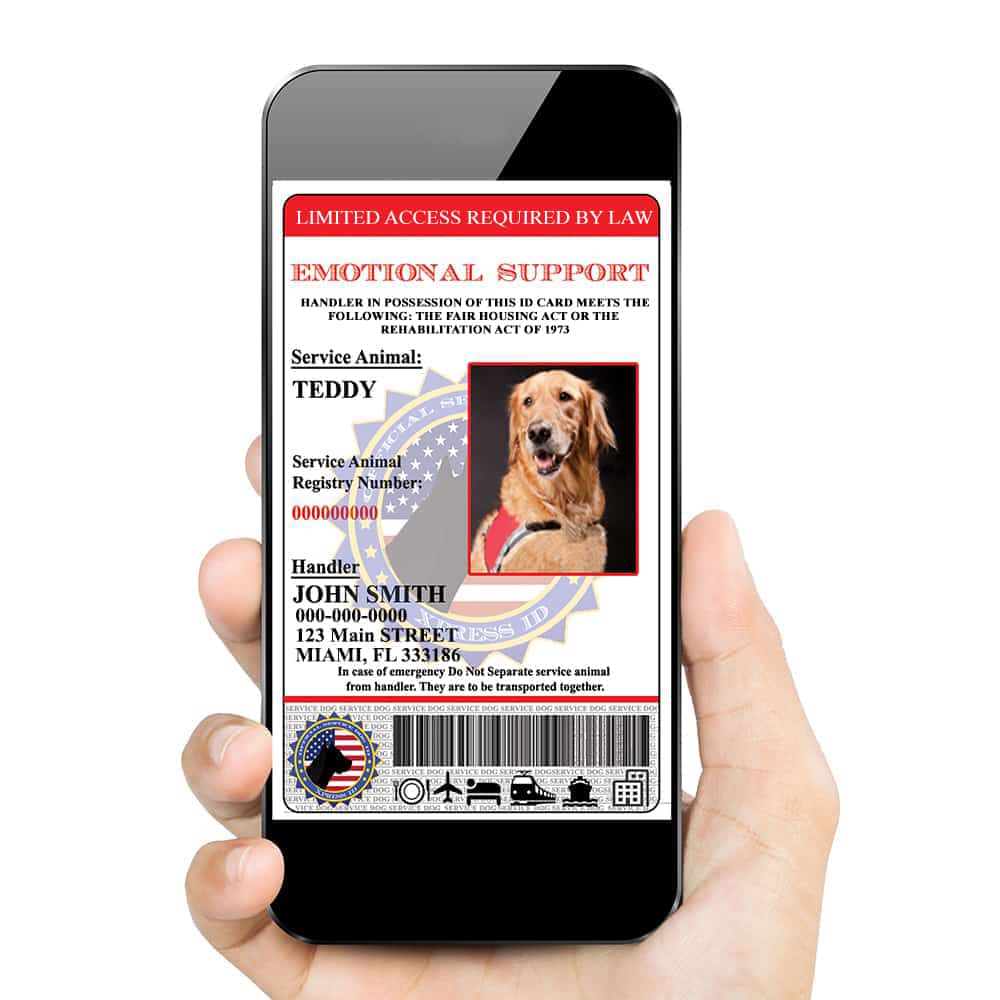 QR Code Ready Registration to Service Animal Registry Included XpressID Holographic Emotional Support Animal ID Card Custom Digital ID for Mobile Device 