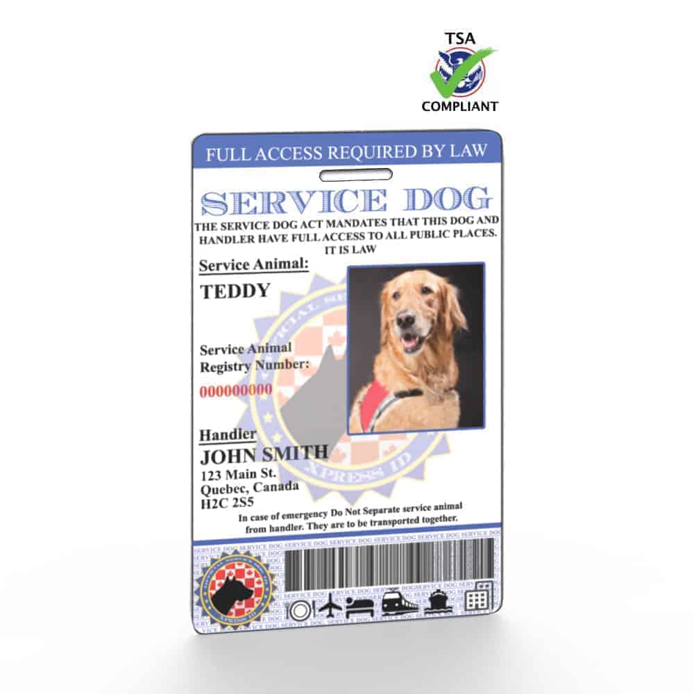 Canadian Service Dog ID Custom Holographic Service