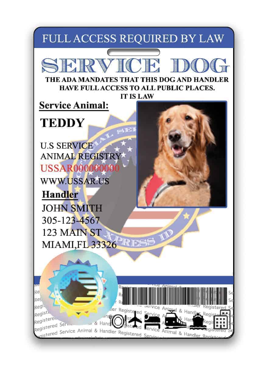 Holoseal Service Dog Id Card Free Access To Animal Registry