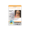 Therapy Dog HoloSeal ID