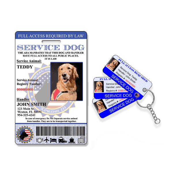 Service dog CUSTOM purple and black ID for dog personalized info 
